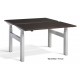 Duo Back-to-Back Height Adjustable Desk